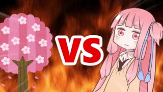 茜ちゃんVS桜