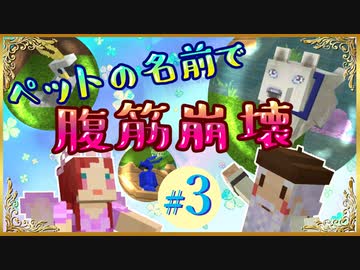 ティクトーク003～独りの時間は何をしているか聞いてみた！～【Minecraft】