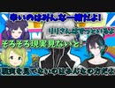 現実を受け止められず夕陽リリの幻影を見続ける黛灰【にじさんじ切り抜き/#寒色シスターズ​/黛灰/夕陽リリ/森中花咲/相羽ういは】
