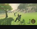 【ゆっくり実況プレイ】旅歩き part50【ゼルダの伝説ブレスオブザワイルド】