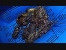【魚突き】奄美大島 伊勢海老 コウイカ 夜光貝 2021年1月