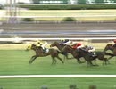 【競馬】 2003年 第43回 きさらぎ賞 ネオユニヴァース
