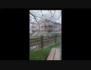 らじお　じぶんで　ON　MY　OMN　/　らじお　Free　Talk　NATIVE　