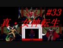 【ゆっくり実況】 真・女神転生 #33（SFC版）