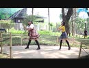 【BRK13】Heart Beats踊ってみた【Violli-Puu'z】