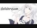 Helichrysum／GUMI