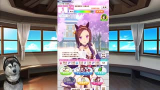 ウマ娘さわってみた_サクラバクシンオー＿06