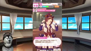 ウマ娘さわってみた_サクラバクシンオー＿07