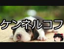 【ゆっくり朗読】ゆっくりさんと不思議な病気 その328