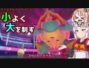 【ポケモン剣盾】そら×ついの色違いガラル旅～小よく大を制す～part23