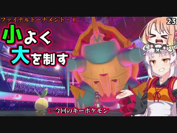 【ポケモン剣盾】そら×ついの色違いガラル旅～小よく大を制す～part23