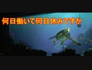 何日働いて何日休みですか【タートルトーク】東京ディズニーシー