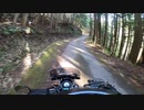 URAL Gear-UP GoPro撮影テスト その７ 内浦山県民の森