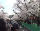 花見2021東京