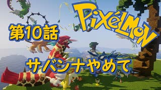 【実況】Pixelmon【第10話】サバンナやめて