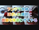 【第五人格】Q戦慄の竜巻 イキり鯖共に地獄を味あわせてやるw【道化師ピエロ】【はい本日も怒ってます】【IdentityV】【第5人格】【dbd】