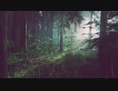 【東方自作アレンジ】雨林【妖異達の通り雨】