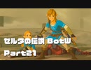 今更始めるゼル伝BotW実況 Part21