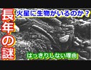【ゆっくり解説】火星に生物がいるのかいないのか？　火星ねっとり解説生物編