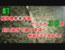 【#1 釣り動画】ヤリイカ38杯大漁！福井県○○半島で釣れ過ぎで困まるくらい！邪道エギで攻めます！エギング ヤリイカ釣り！