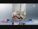 覚悟の爆死