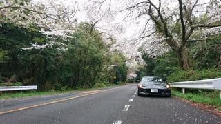 【ゆかり車載】日本平パークウェイをお車してきた2021【NDロードスター】