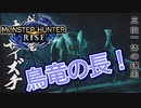 【双剣第一】モンスターハンターRISE#3（里クエ★１緊急オサイズチ）