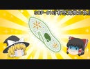 SCPを自分なりに解釈して説明してみる016【有感覚微生物】