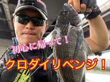 カニ捕ってクロダイ釣り！リベンジ！【もっち釣動組合♯８１】