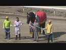 2021年3月20日帯広競馬 オレノココロ号・コウシュハウンカイ号・ソウクンボーイ号の引退式