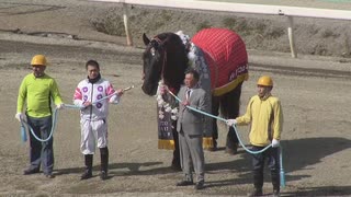 2021年3月20日帯広競馬 オレノココロ号・コウシュハウンカイ号・ソウクンボーイ号の引退式