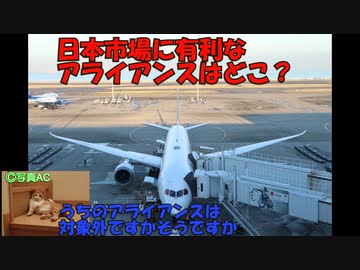 裁判所猫と学ぶ航空用語講座「航空アライアンス」後編