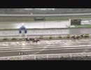 2021年3月28日高知競馬3R 幸せのベーの会協賛 フナバシボンバー特別(C2-5組) マイネルファイヤー