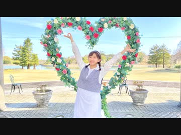 【ききょー。】このとくべつな音色が素晴らしい  踊ってみた【オリジナル振付】