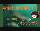ゆっくり解説その11【寿命は5世紀越え！？・ニシオンデンザメ】