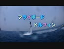 フライボード・ドルフィン挑戦！瀬底島