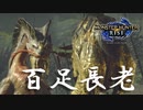 【実況】ムカデ長老!!!!!!!【モンスターハンターライズ】