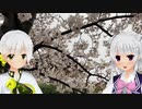 【小春六花、伊織弓鶴】六花と弓鶴が桜見ながら話すだけ【CeVIO AI VOICEROID】