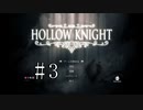 切磋 琢磨ゲーム実況＠【Hollow Knight】#3