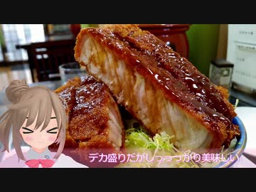 【車載適量】ちょっとそこまで行った日記～福島【ささら微量】