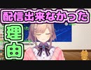 鈴原るるが配信休止してた理由は？【鈴原るる/にじさんじ/切り抜き】