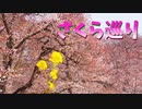いつもと違った目線でさくら巡り❀
