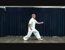 第274位：車氏形意拳・五行拳＜崩拳＞～”Beng-quan” The one of Xingyi-quan 5elementｓ-fist by Ryosuke Obata-