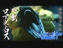 【実況】へっぽこ剣士の狩猟日記#10【MHRise】