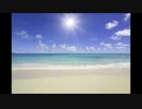 BEACH IN SUMMER