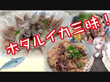ホタルイカ三昧！とみつり！#番外料理編【VOICEROIDキッチン】
