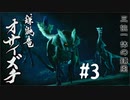 【女性実況】相も変わらず弓使いがひと狩り行くぜ！【MHR】#3