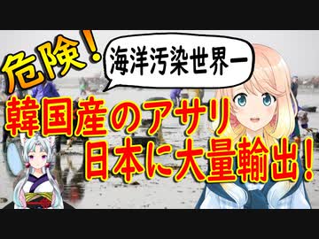 韓国産アサリが日本で人気？韓国で採取したアサリ全てを日本に輸出！【世界の〇〇にゅーす】