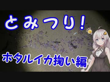 とみつり！#番外編　〜あかりちゃんと行く釣行記〜ホタルイカ掬い編【VOICEROIDフィッシング？】