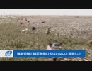 ウイグル人の大虐殺を批判された中国が、意味不明過ぎる屁理屈で逆ギレの口答えと開き直り